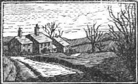 small wood-engraving of Row of Country Cottages